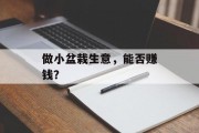 做小盆栽生意,能否赚钱? 做小盆栽生意,能否赚钱?