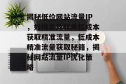 揭秘低价网站流量IP，如何高效利用低成本获取精准流量，低成本精准流量获取秘籍，揭秘网站流量IP优化策略
