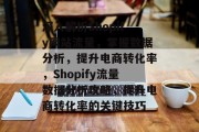 深入解析Shopify网站流量，掌握数据分析，提升电商转化率，Shopify流量数据分析攻略，提升电商转化率的关键技巧