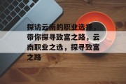 探访云南的职业选择，带你探寻致富之路，云南职业之选，探寻致富之路