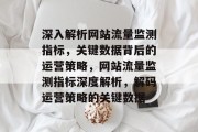 深入解析网站流量监测指标，关键数据背后的运营策略，网站流量监测指标深度解析，解码运营策略的关键数据