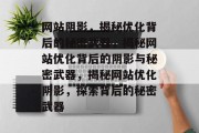 网站阴影，揭秘优化背后的秘密武器，揭秘网站优化背后的阴影与秘密武器，揭秘网站优化阴影，探索背后的秘密武器