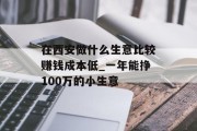 在西安做什么生意比较赚钱成本低_一年能挣100万的小生意