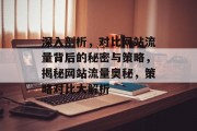 深入剖析，对比网站流量背后的秘密与策略，揭秘网站流量奥秘，策略对比大解析