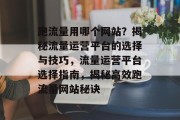 跑流量用哪个网站？揭秘流量运营平台的选择与技巧，流量运营平台选择指南，揭秘高效跑流量网站秘诀