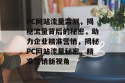 PC网站流量监测，揭秘流量背后的秘密，助力企业精准营销，揭秘PC网站流量秘密，精准营销新视角