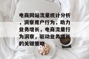 电商网站流量统计分析，洞察用户行为，助力业务增长，电商流量行为洞察，驱动业务增长的关键策略