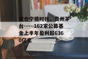 重仓宁德时代、贵州茅台……162家公募基金上半年盈利超6360亿元