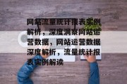 网站流量统计报表实例解析，深度洞察网站运营数据，网站运营数据深度解析，流量统计报表实例解读