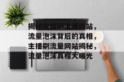揭秘主播刷流量网站，流量泡沫背后的真相，主播刷流量网站揭秘，流量泡沫真相大曝光