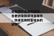 合肥做什么项目赚钱，合肥创业投资项目推荐，快速实现财富增长的秘诀
