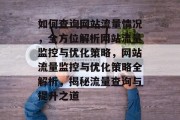 如何查询网站流量情况，全方位解析网站流量监控与优化策略，网站流量监控与优化策略全解析，揭秘流量查询与提升之道