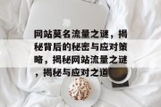 网站莫名流量之谜，揭秘背后的秘密与应对策略，揭秘网站流量之谜，揭秘与应对之道