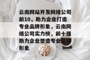 云南网站开发网络公司前10，助力企业打造专业品牌形象，云南网络公司实力榜，前十强助力企业塑造专业品牌形象