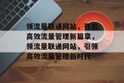 领流量联通网站，开启高效流量管理新篇章，领流量联通网站，引领高效流量管理新时代