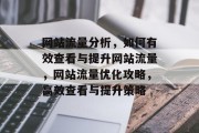 网站流量分析，如何有效查看与提升网站流量，网站流量优化攻略，高效查看与提升策略
