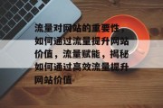 流量对网站的重要性，如何通过流量提升网站价值，流量赋能，揭秘如何通过高效流量提升网站价值