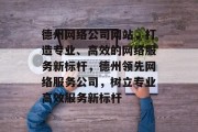 德州网络公司网站，打造专业、高效的网络服务新标杆，德州领先网络服务公司，树立专业高效服务新标杆