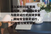 深入解析IIS配置网站权限，保障网站安全与稳定运行的关键步骤，网站安全稳定运行，IIS配置权限关键解析