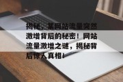 揭秘，某网站流量突然激增背后的秘密！网站流量激增之谜，揭秘背后惊人真相！