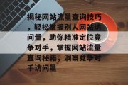 揭秘网站流量查询技巧，轻松掌握别人网站访问量，助你精准定位竞争对手，掌握网站流量查询秘籍，洞察竞争对手访问量