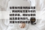 谷歌如何查询网站流量，揭秘网站流量分析的秘密武器，揭秘谷歌网站流量查询技巧，网站流量分析的秘密武器