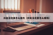 抖音没流量怎么提升（抖音没流量怎么赚钱）