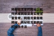 揭秘租流量的网站，如何利用网络资源实现流量变现，网络流量变现揭秘，揭秘租流量网站的操作手法