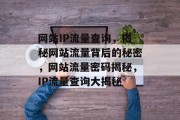 网站IP流量查询，揭秘网站流量背后的秘密，网站流量密码揭秘，IP流量查询大揭秘