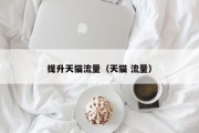 提升天猫流量（天猫 流量）