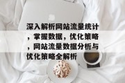 深入解析网站流量统计，掌握数据，优化策略，网站流量数据分析与优化策略全解析