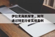 伊拉克商机探索，如何通过特定行业实现盈利
