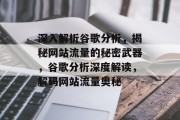 深入解析谷歌分析，揭秘网站流量的秘密武器，谷歌分析深度解读，解码网站流量奥秘