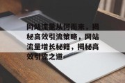 网站流量从何而来，揭秘高效引流策略，网站流量增长秘籍，揭秘高效引流之道