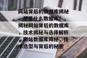 网站背后的数据库揭秘，使用什么数据库？，揭秘网站背后的数据库，技术揭秘与选择解析，网站数据库揭秘，技术选型与背后的秘密
