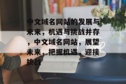 中文域名网站的发展与未来，机遇与挑战并存，中文域名网站，展望未来，把握机遇，迎接挑战