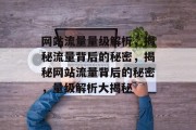 网站流量量级解析，揭秘流量背后的秘密，揭秘网站流量背后的秘密，量级解析大揭秘