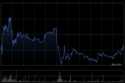 赤峰黄金遭CITIC Securities Company Limited减持132.34万股
