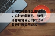 运城农村做什么赚钱？，农村创业商机，如何选择适合自己的农业项目进行投资与经营