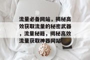 流量必备网站，揭秘高效获取流量的秘密武器，流量秘籍，揭秘高效流量获取神器网站