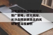 深度解析长沙网站优化推广策略，优化网站，长沙品牌脱颖而出的关键策略深度解析