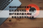 揭秘网站刷IP流量背后的真相与风险，网络刷IP流量内幕大揭秘，真相与潜在风险全解析
