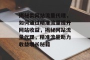 揭秘卖网站流量代理，如何通过精准流量提升网站收益，揭秘网站流量代理，精准流量助力收益增长秘籍