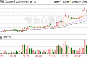 盛新锂能：公司本次回购股份方案已实施完毕