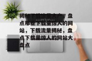 揭秘下载流量大户，盘点那些下载量惊人的网站，下载流量揭秘，盘点下载量惊人的网站大盘点