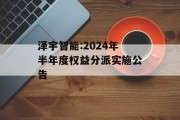 泽宇智能:2024年半年度权益分派实施公告