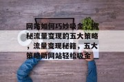 网站如何巧妙吸金，揭秘流量变现的五大策略，流量变现秘籍，五大策略助网站轻松吸金