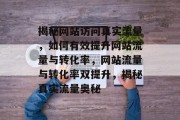 揭秘网站访问真实流量，如何有效提升网站流量与转化率，网站流量与转化率双提升，揭秘真实流量奥秘