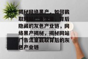 揭秘网络黑产，如何截取网站广告流量，背后隐藏的灰色产业链，网络黑产揭秘，揭秘网站广告流量截取背后的灰色产业链