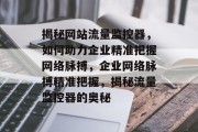 揭秘网站流量监控器，如何助力企业精准把握网络脉搏，企业网络脉搏精准把握，揭秘流量监控器的奥秘